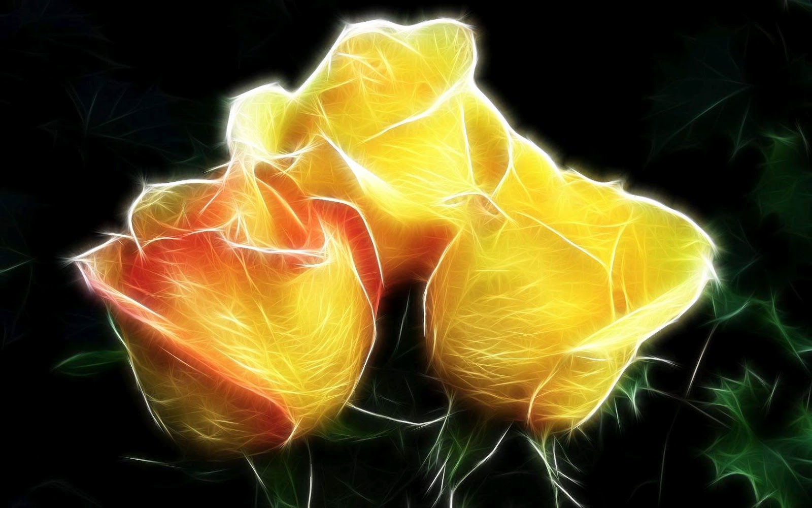 Beautiful Yellow Rose Wallpaper Artistic yellow roses on black