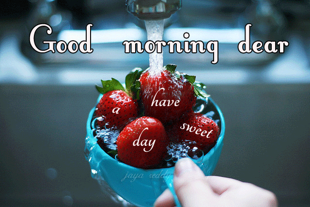 Good Morning Have A Nice Day Whises HD Wallpaper Gif