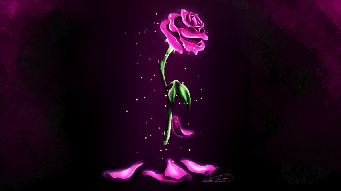 Enchanted Rose Wallpaper By Namine1245