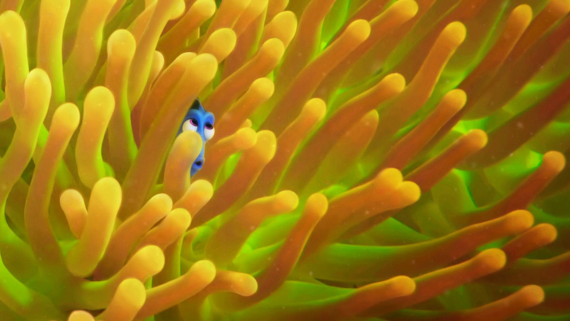 Finding Dory Wallpaper Movie HD