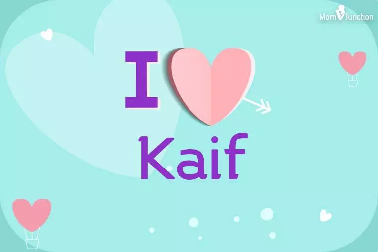 Explore Kaif Wallpaper