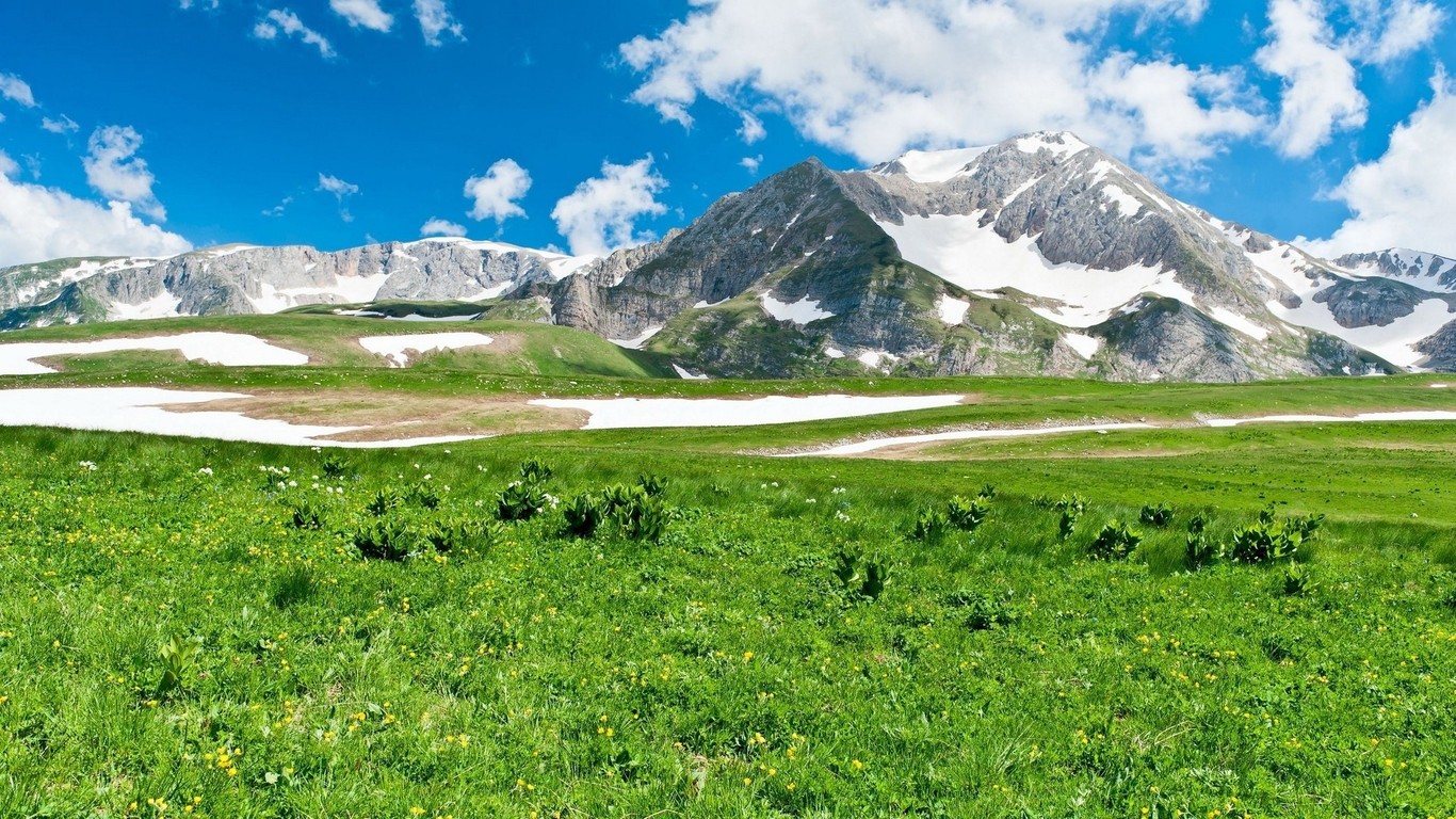 Green Meadow And Snowy Mountains Wallpaper
