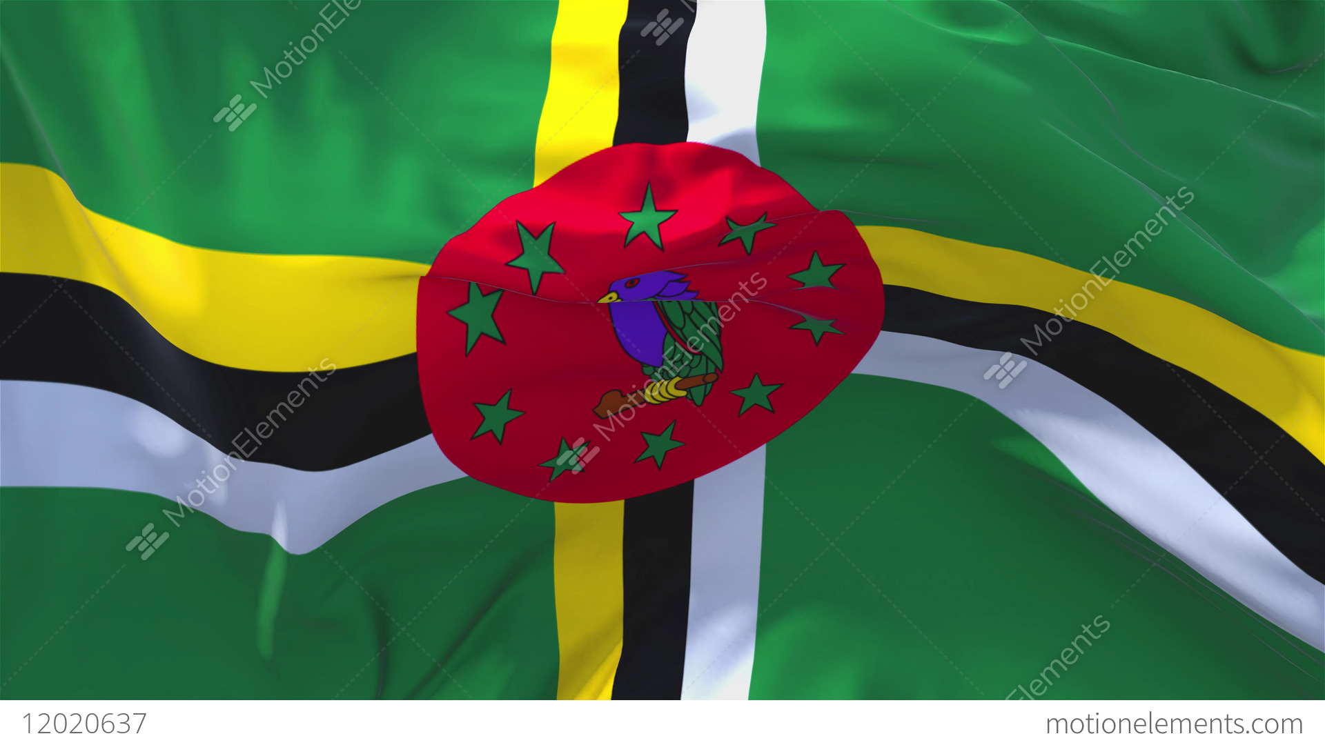 Dominica Flag Waving In Wind Continuous Seamless Loop