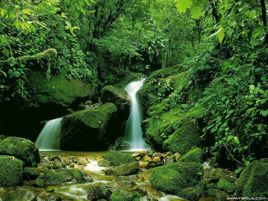 Japan Beautiful Nature Waterfall Wallpaper For