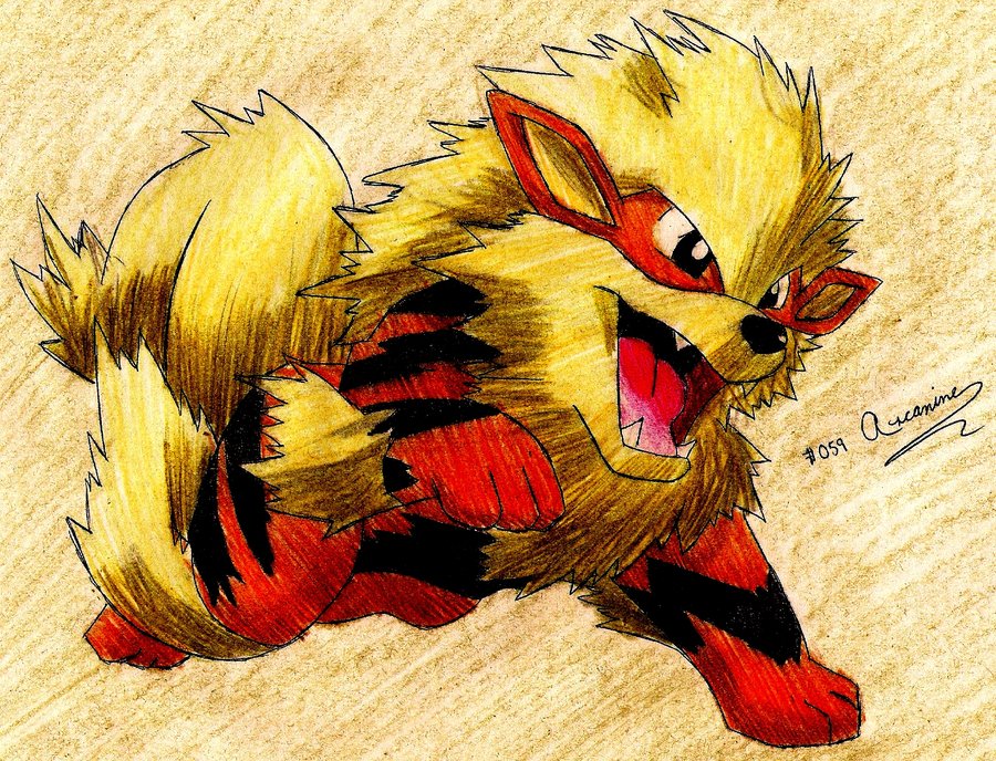 Arcanine Wallpaper By Macuarrorro