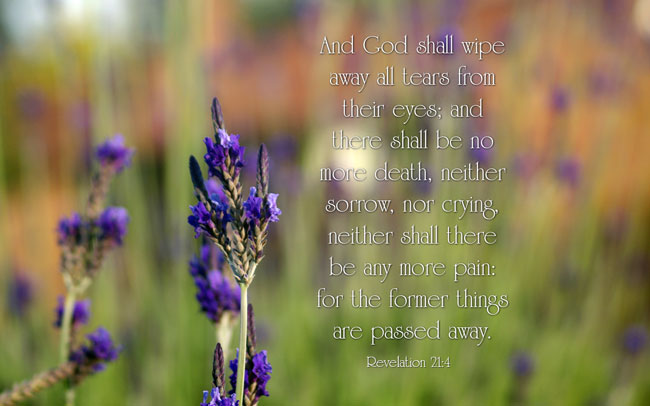 And God shall wipe away all tears from their eyes and there shall be
