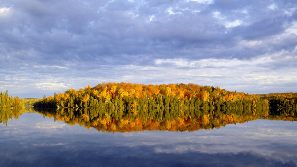 Forest Minnesota Lake Reflections Landscape Nature Wallpaper