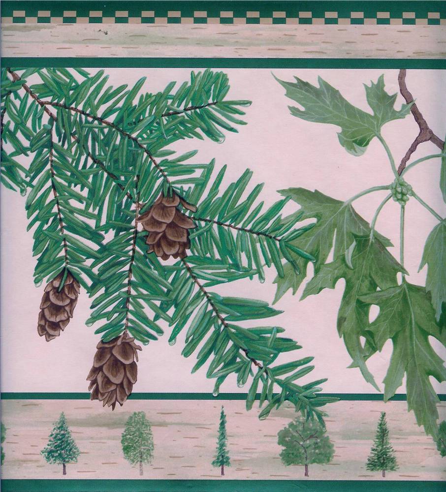 Leaves Acorns Pine Cones Trees Green Wallpaper Border eBay