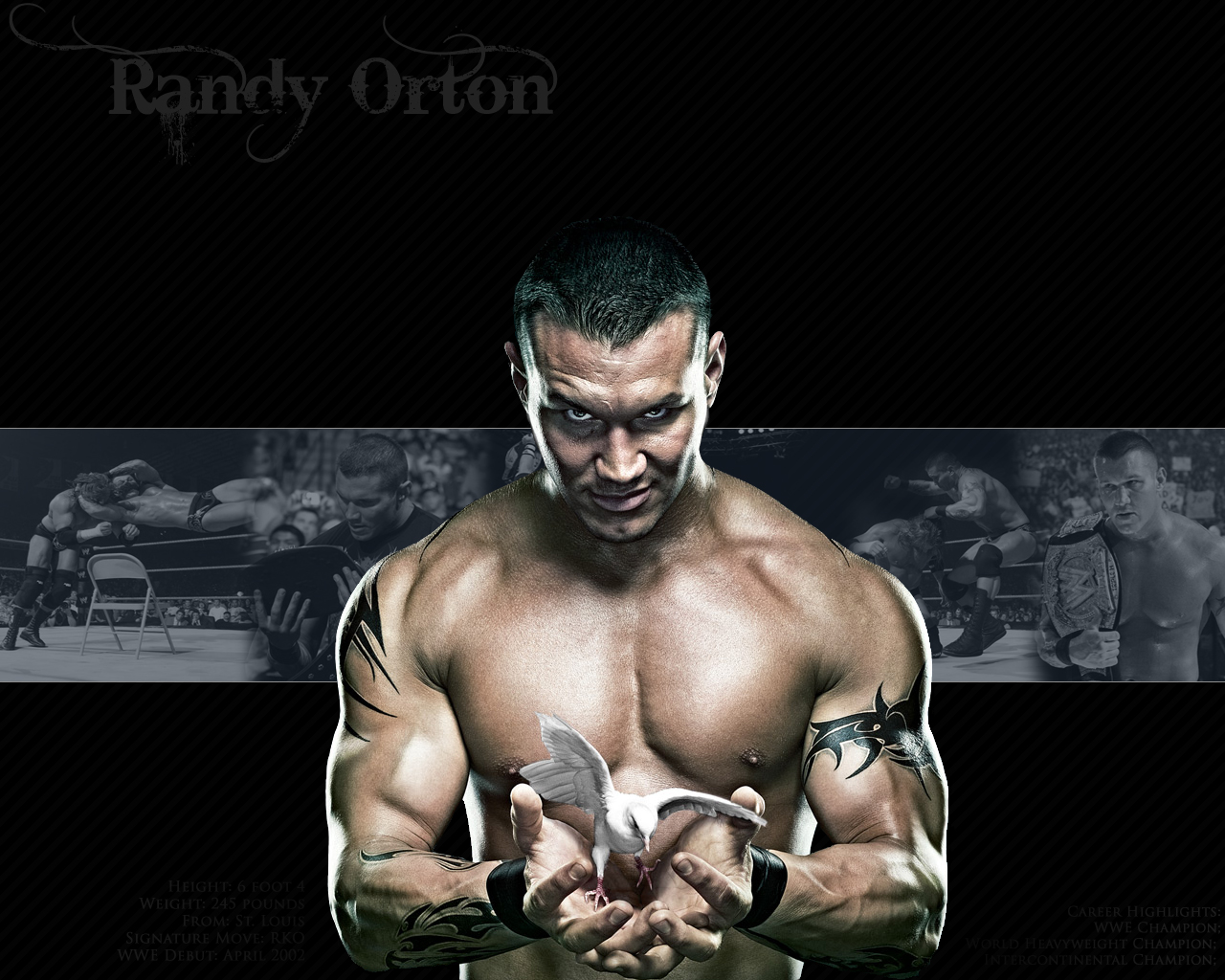 Randy Orton Wallpaper New Top Sports