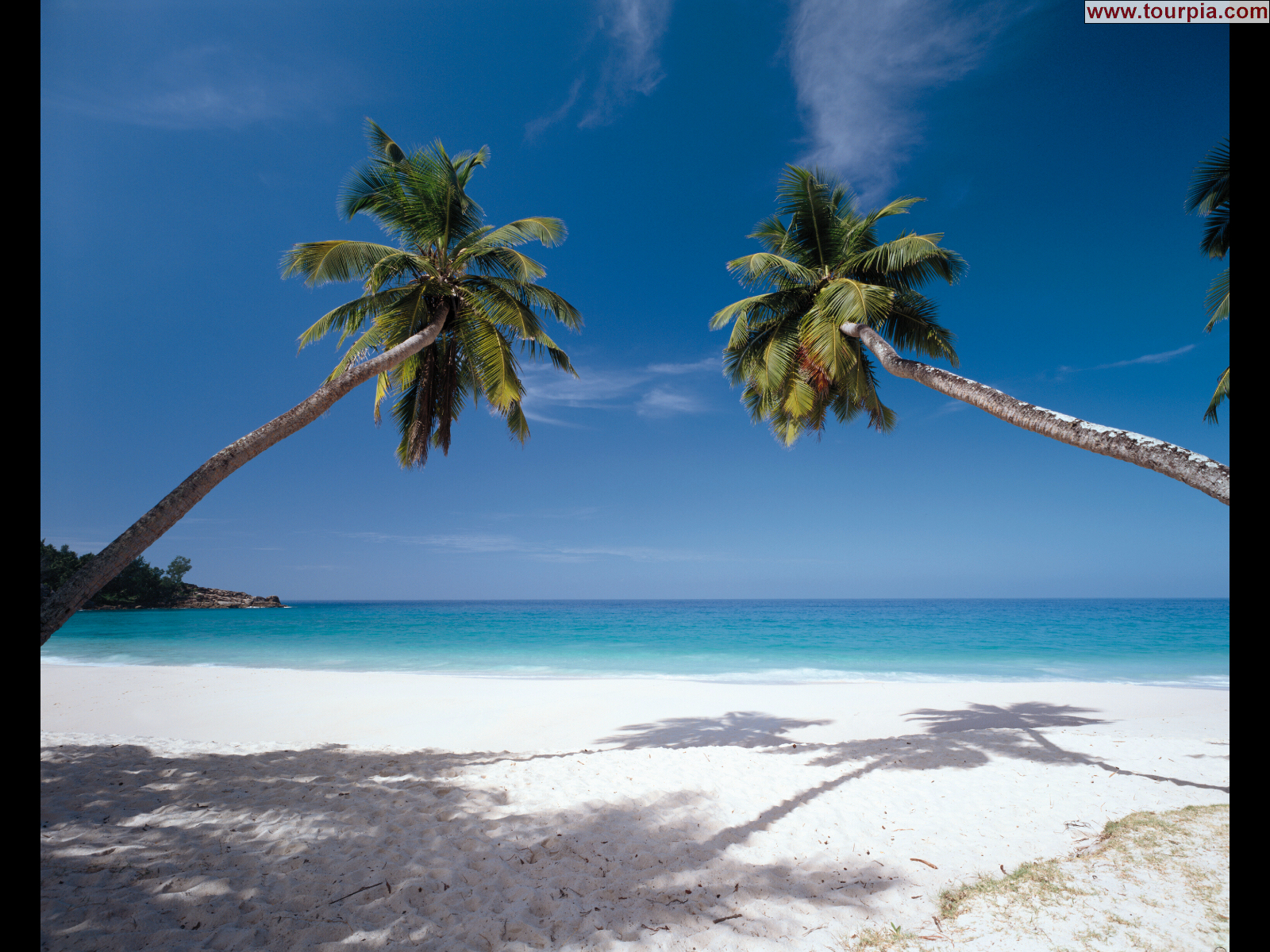 Google Chrome Themes Seychelles Theme