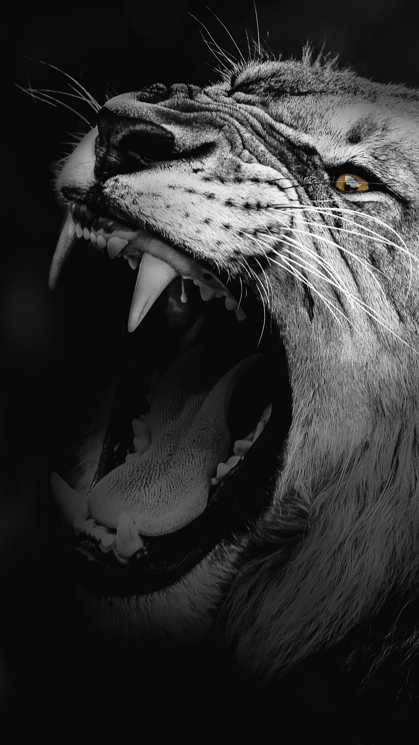 Powerful Wallpaper HD Of Lion