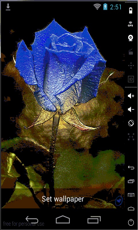Rainbow Rose Live Wallpaper For Your Android Phone