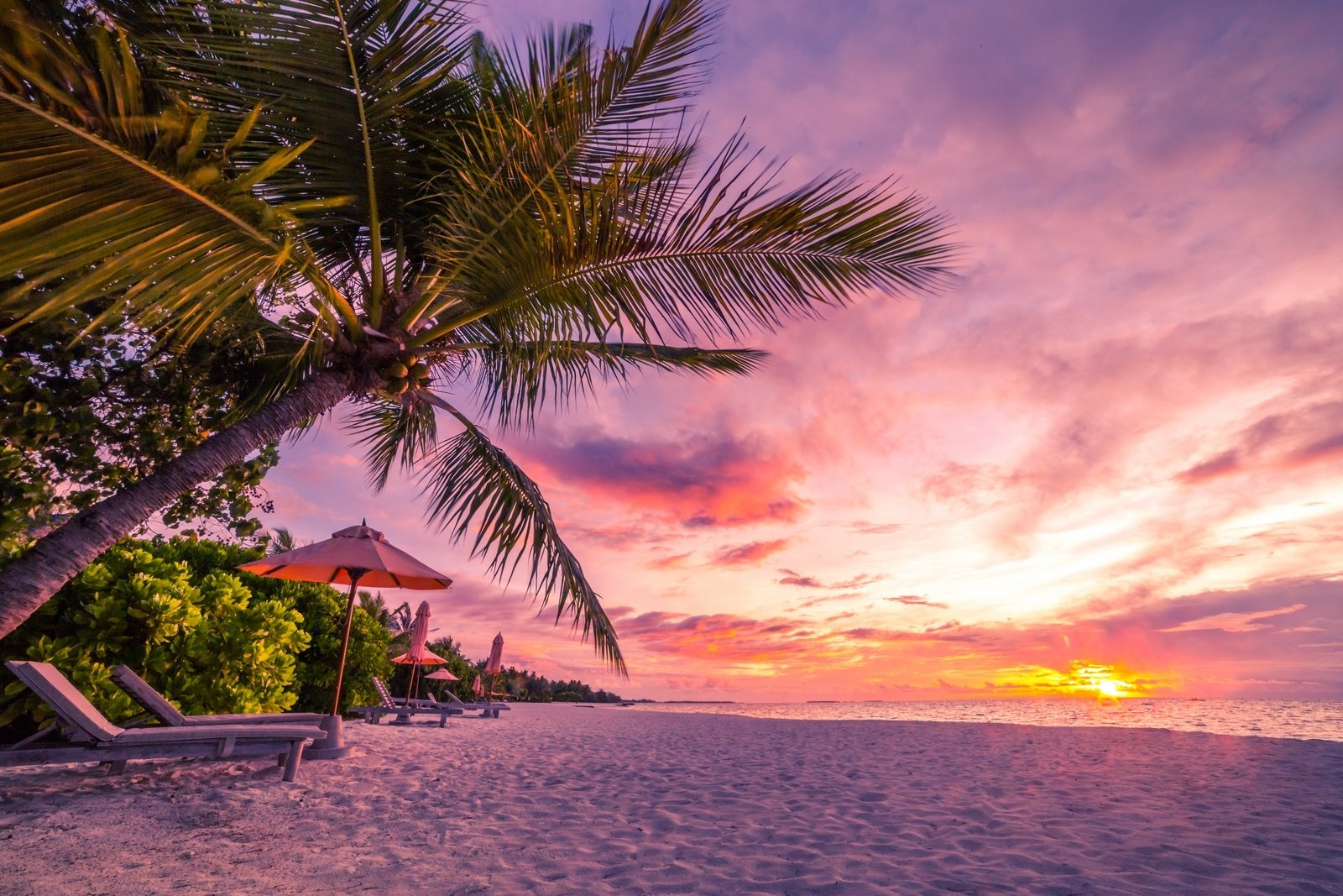 Tropical Beach Scenes Wallpaper