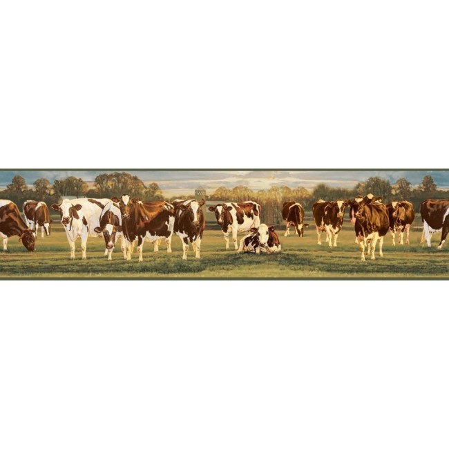Home Ayrshire Brown White Cows Wallpaper Border