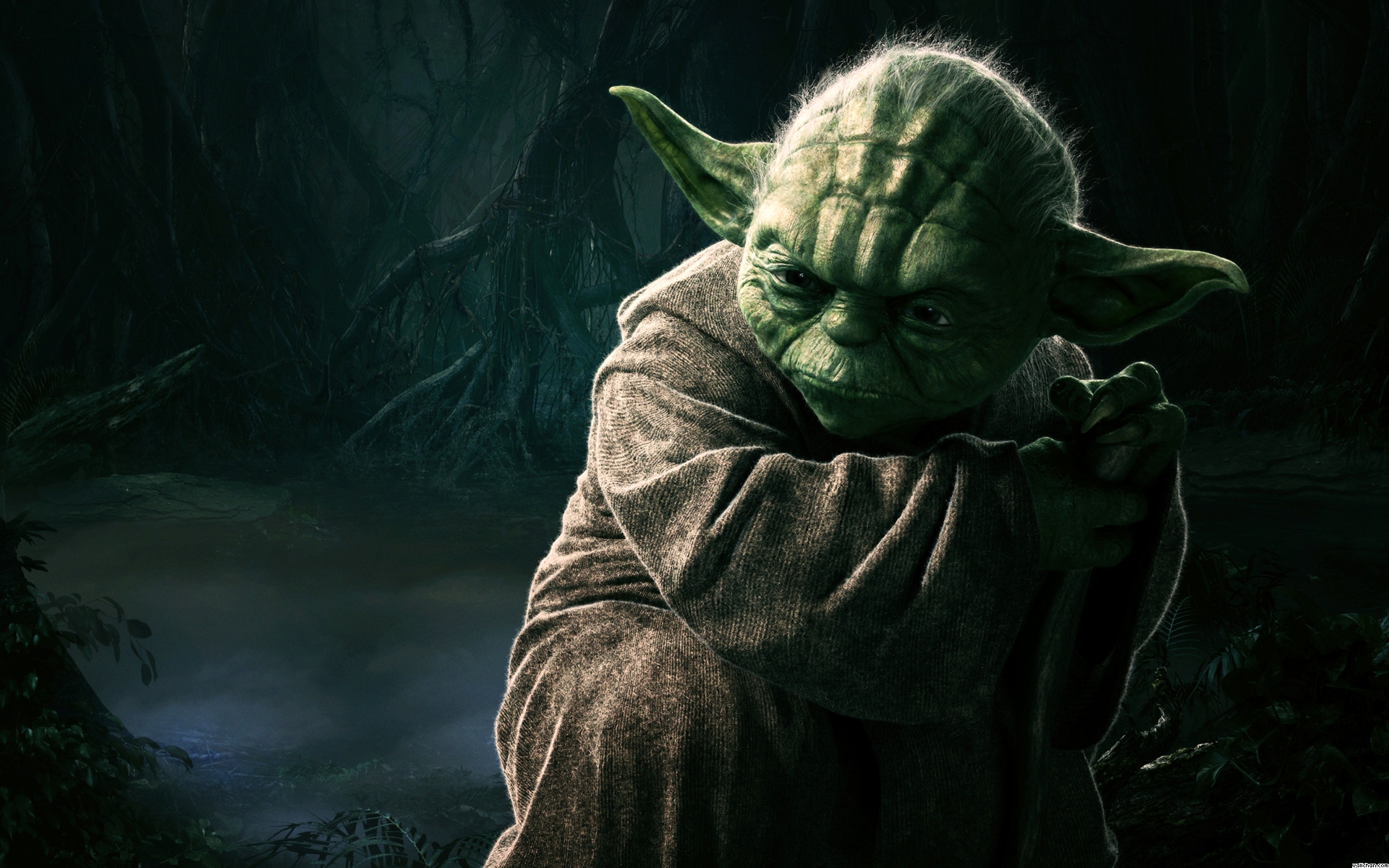 Download Yoda Star Wars HD Wallpaper 1593 Full Size 1920x1200