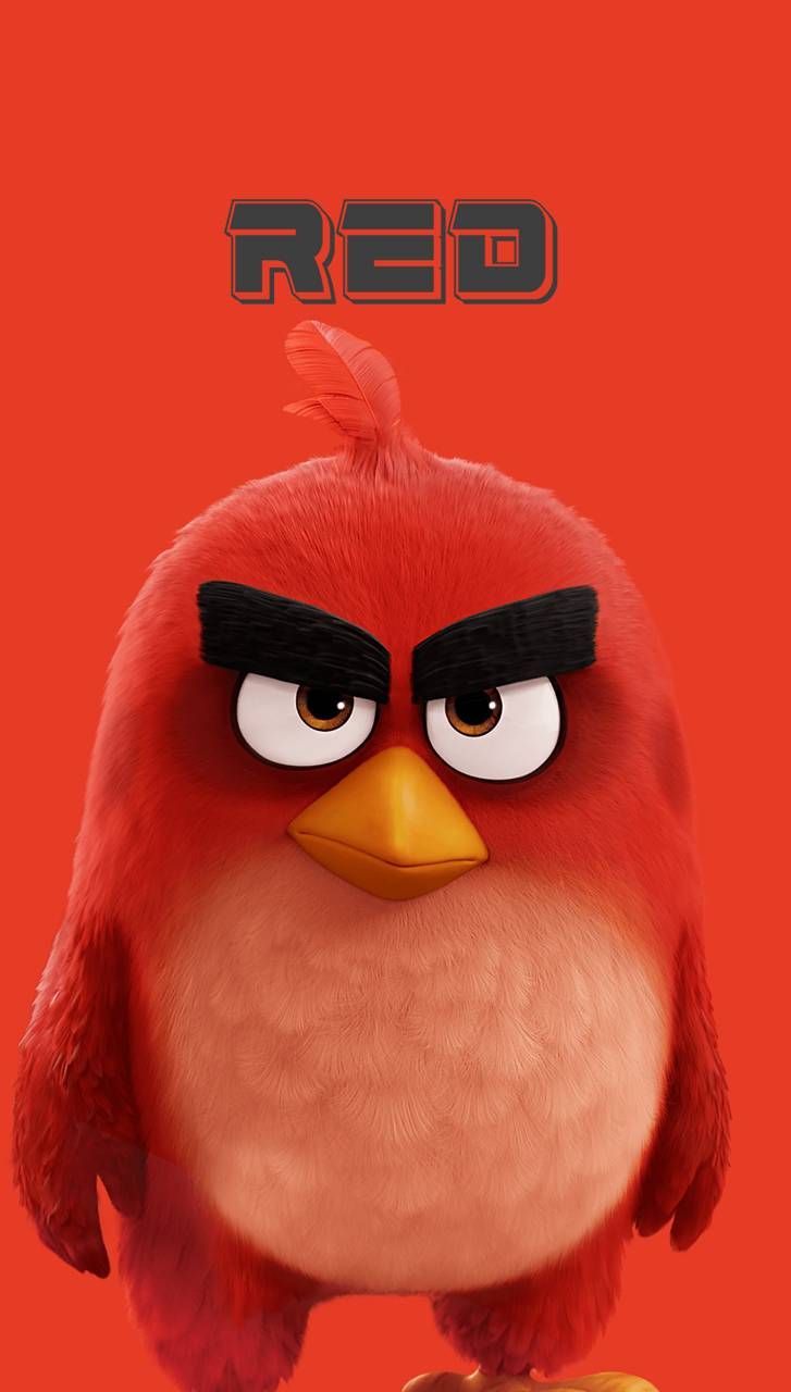 24+] Angry Birds Red Wallpapers - WallpaperSafari