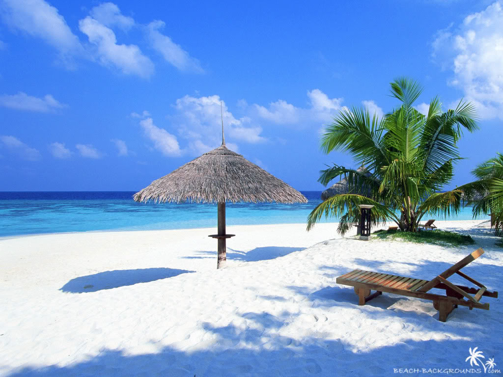 Tropical Island Beach Wallpaper Background Theme Desktop