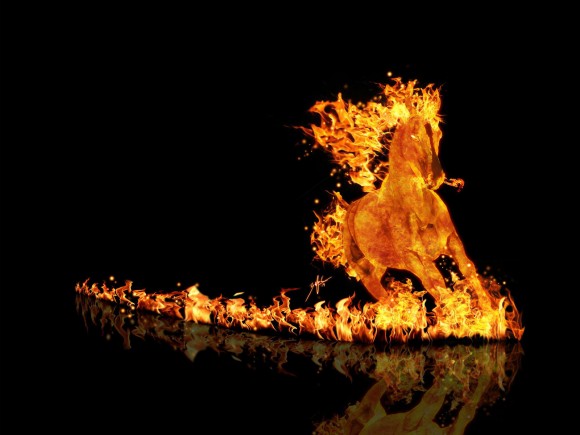 Wallpaper en 3D dun cheval en flamme   wallpapers 3D   Wallpaper