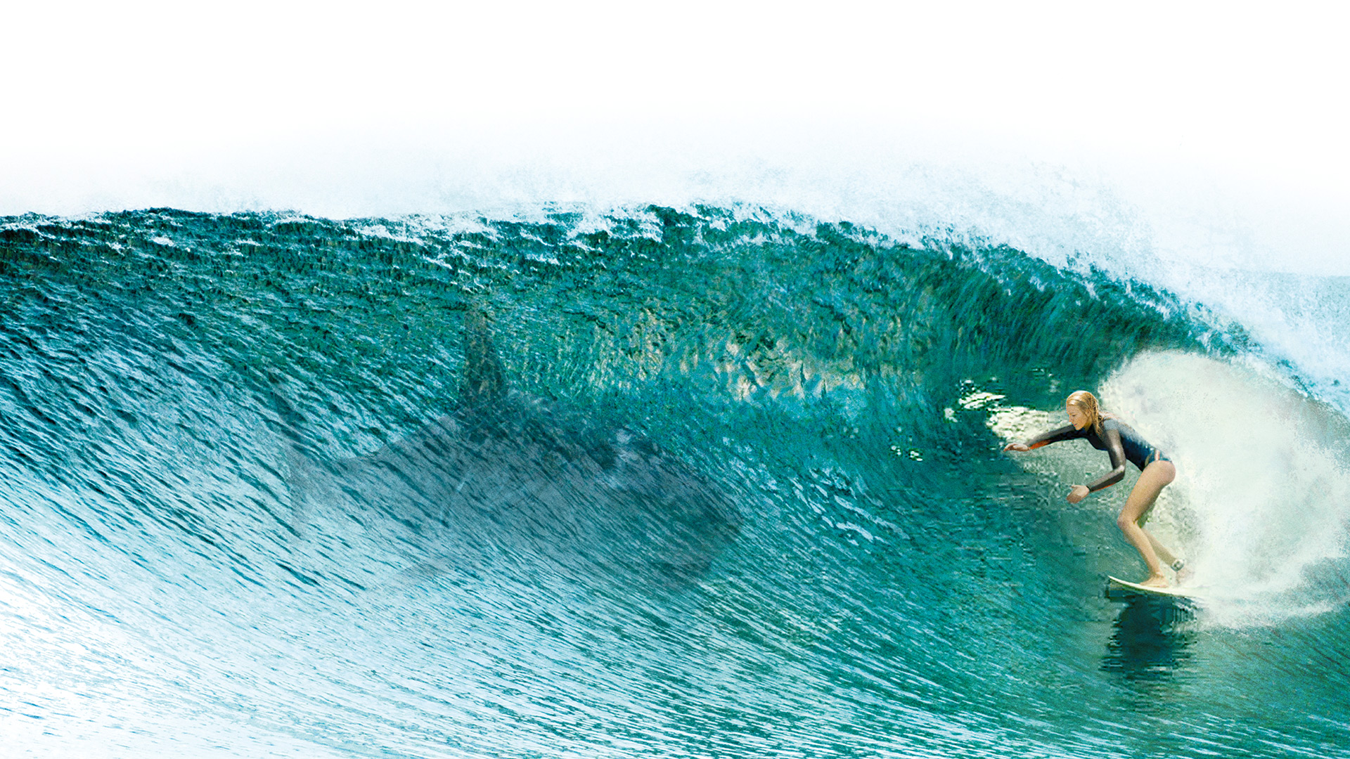 Movie The Shallows HD Wallpaper