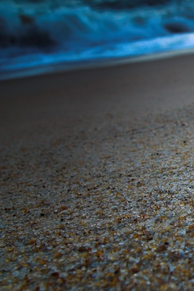 Seashell On Beach iPhone 4s Wallpaper