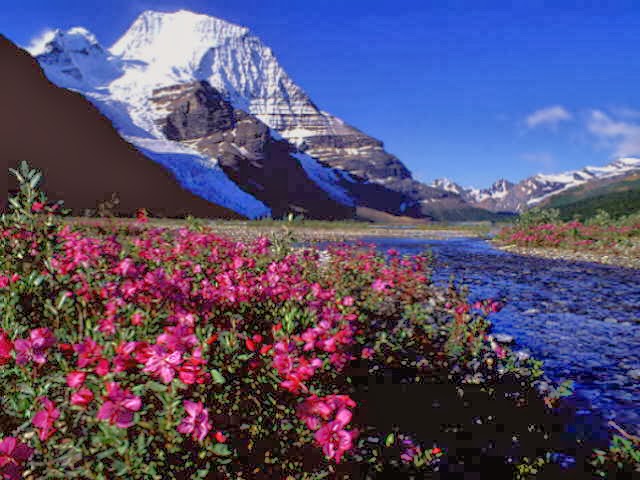 Himalayas HD Wallpaper