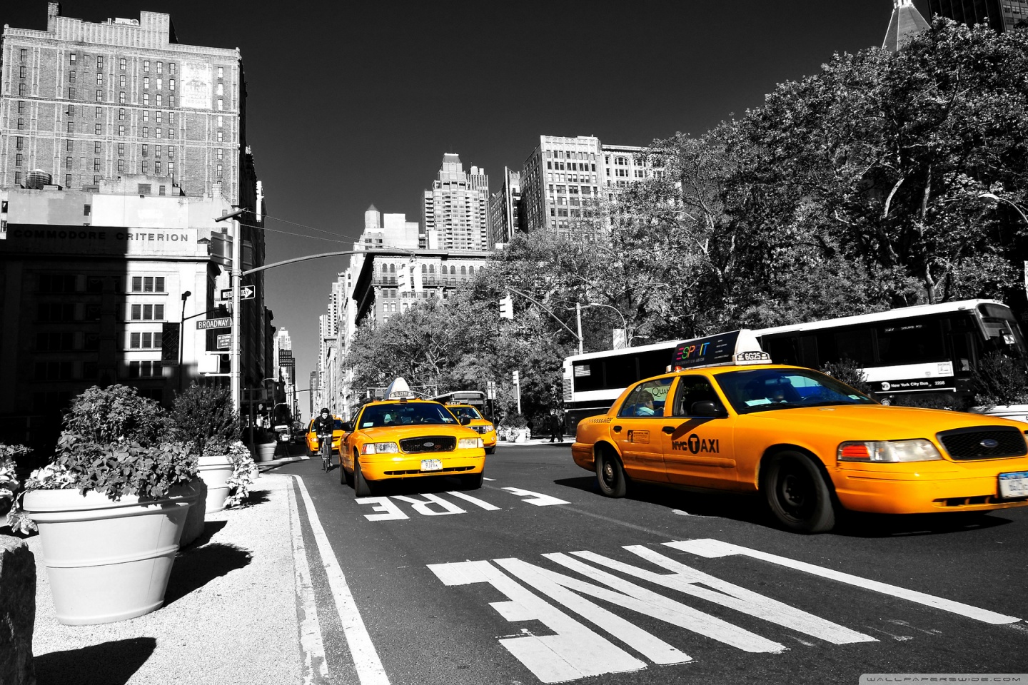 New York Taxi 4k Hd Desktop Wallpaper For Ultra Tv