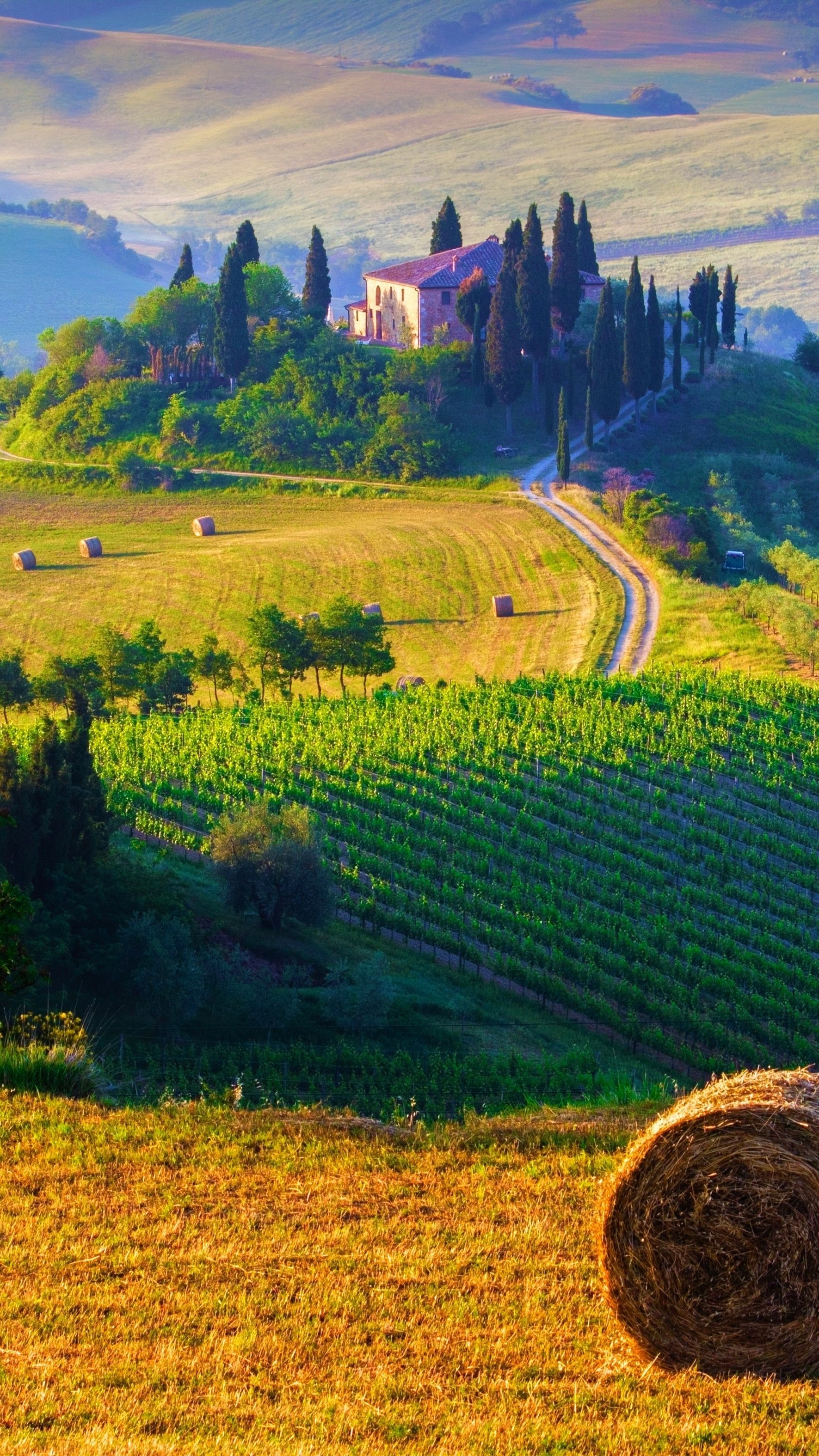 Tuscany Italy Landscape iPhone Wallpaper In