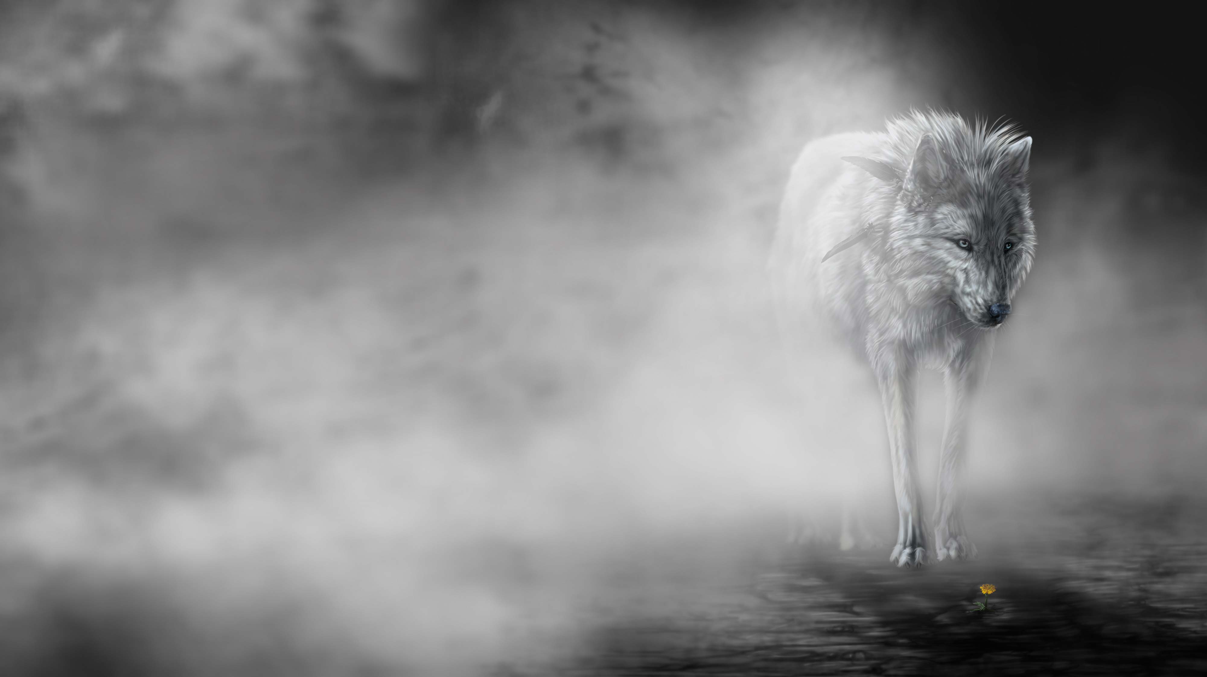 Featured image of post Dire Wolf Wallpaper 4K Four white and gray wolves wolf wildlife animals snow group of animals