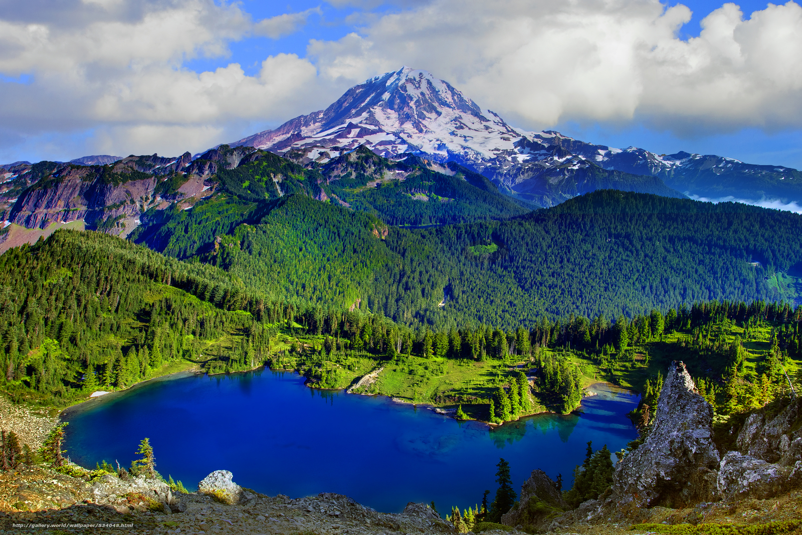 Best Mount Rainier National Park Wallpaper