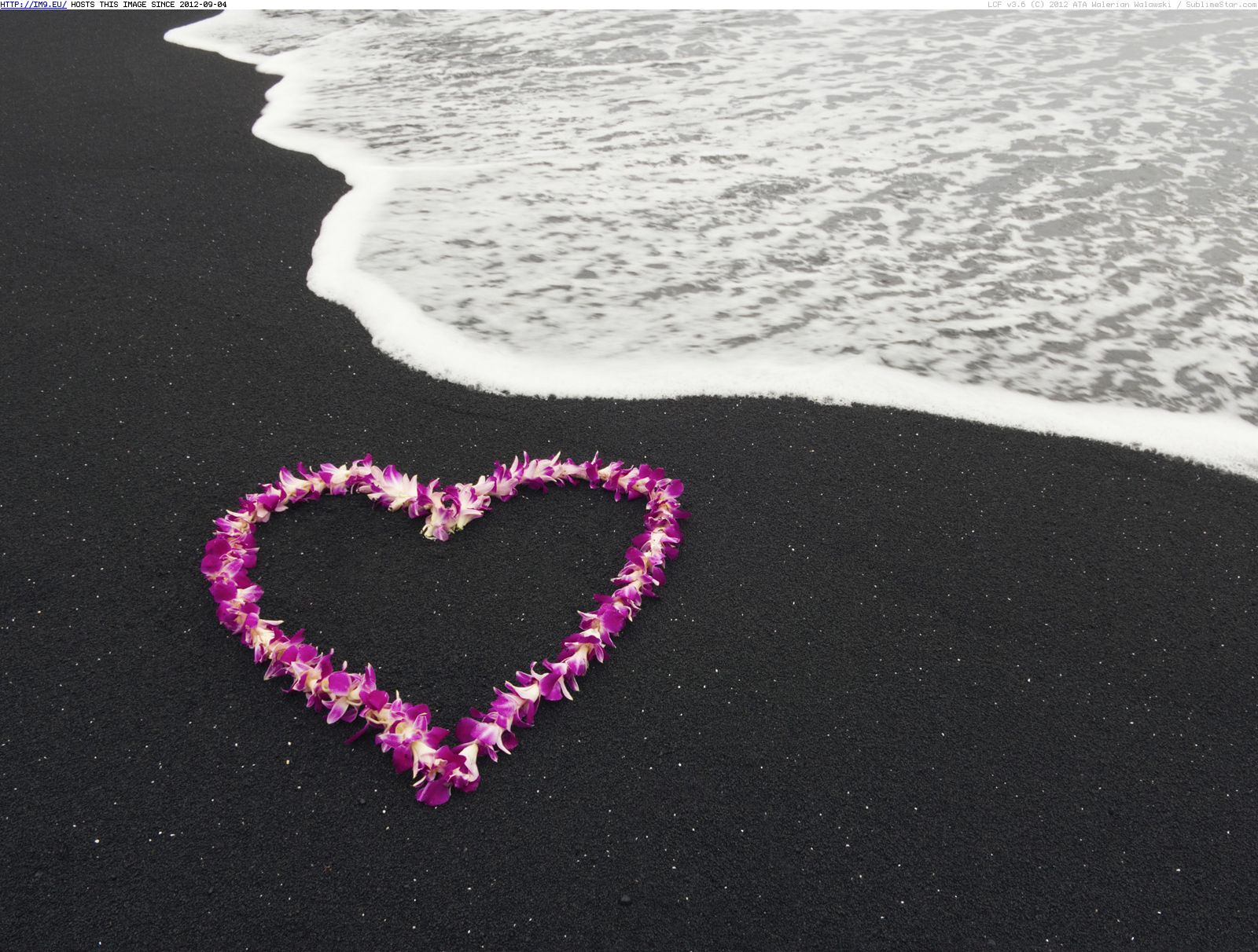 Photos And Wallpaper Heart Shaped Lei On A Black Sand Beach