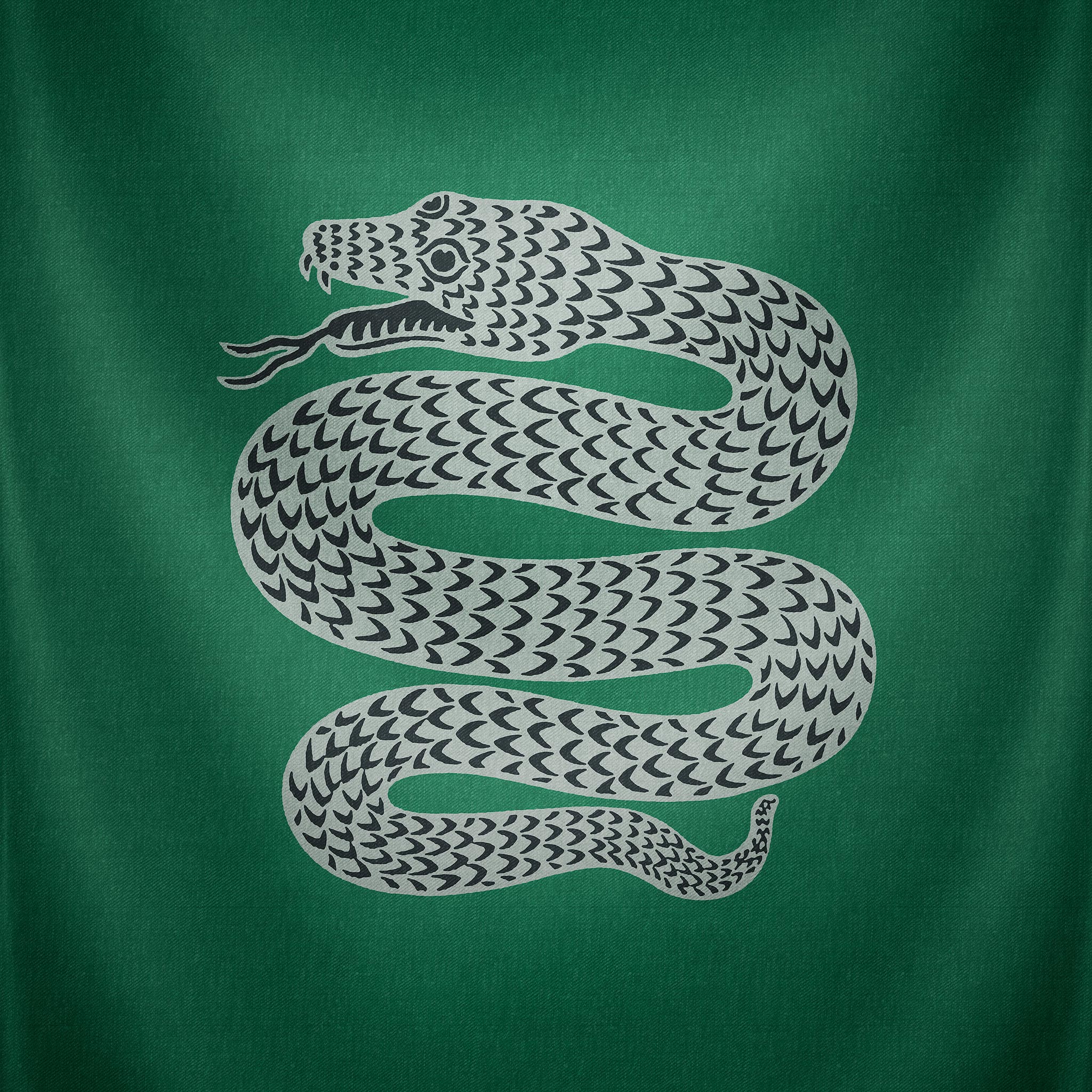 Slytherin Iphone Wallpaper Slytherin Iphone Wallpaper 2048x2048