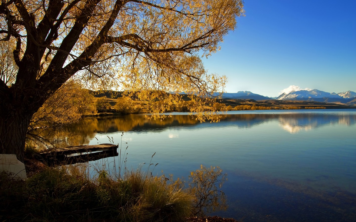 New Zealand Landscape Image Wallpaper Puter Best