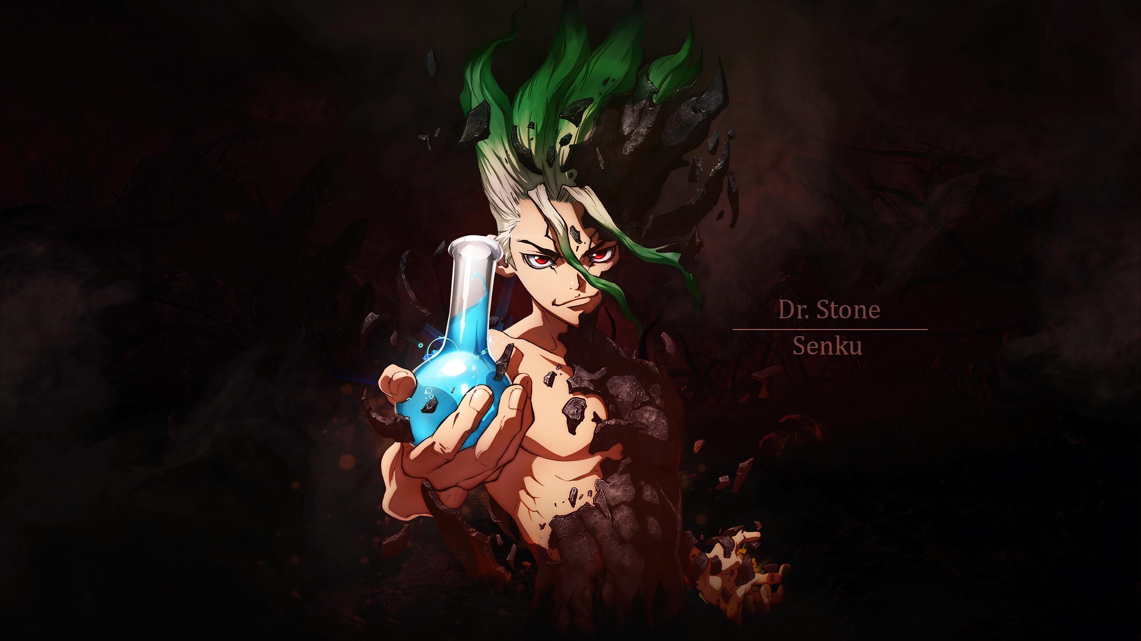 Dr Stone Anime Senku HD 4k Wallpaper