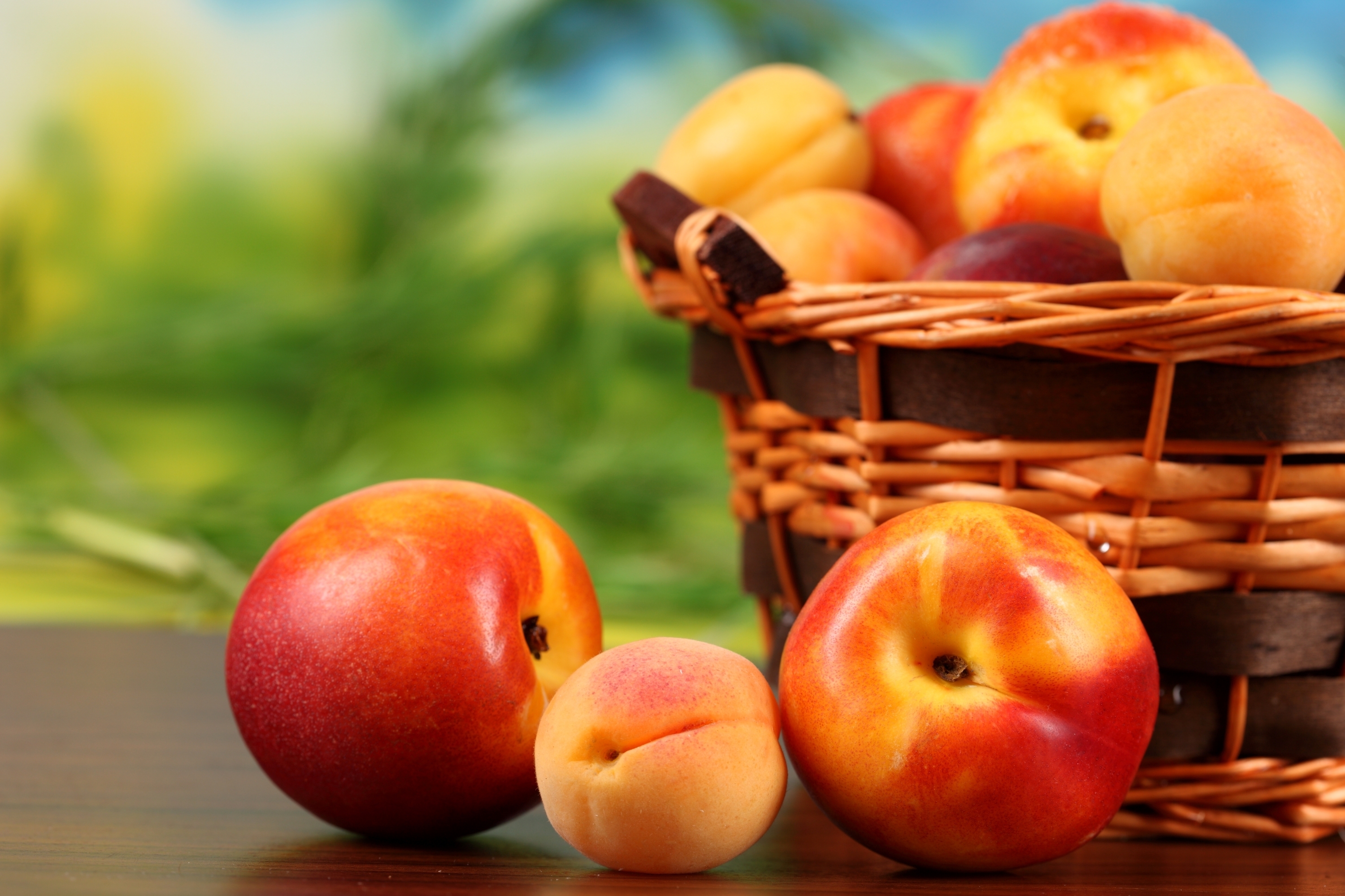 Peaches Nectarines Apricots Fruit Basket Stock Photos