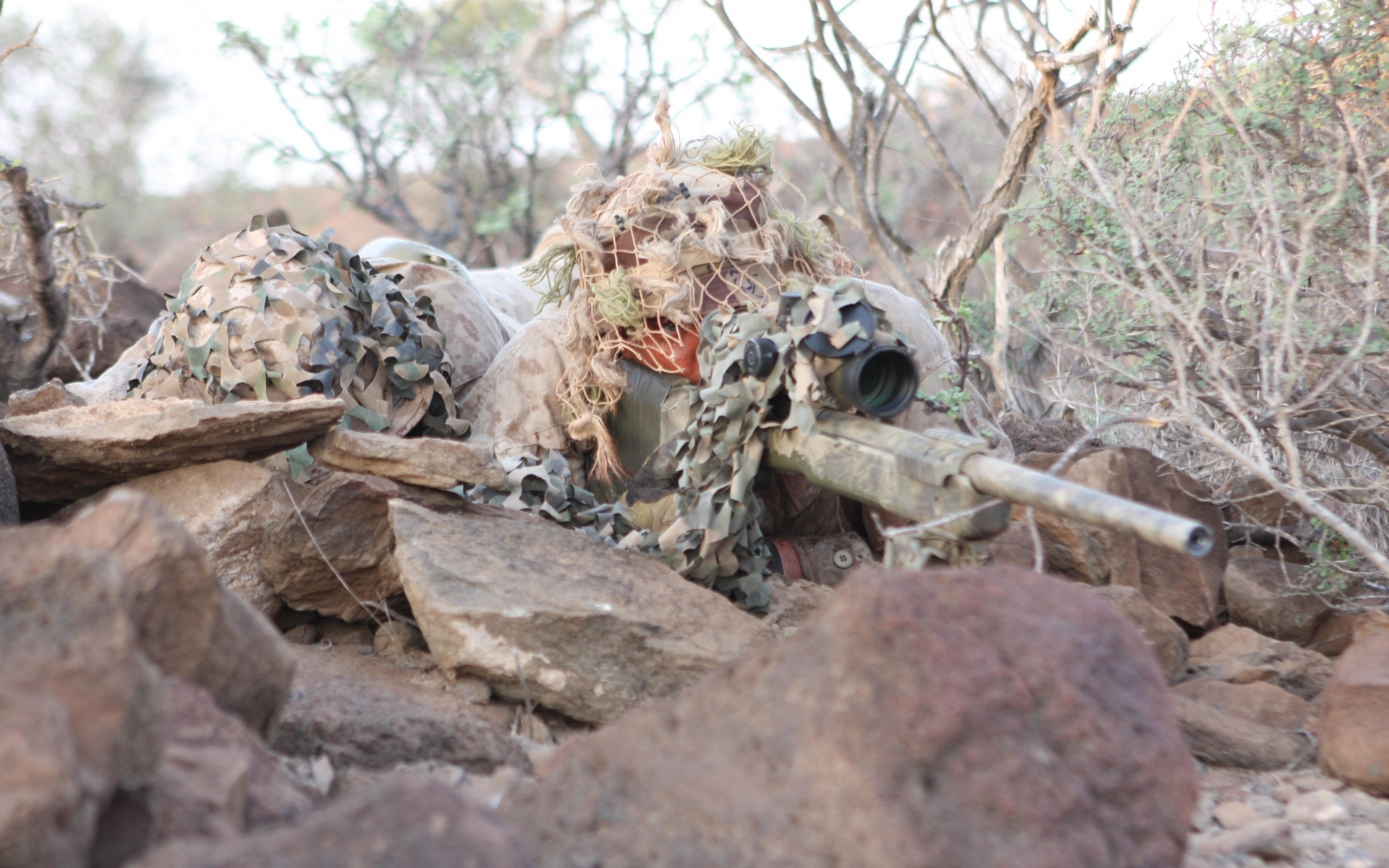 Snipers Sniper Rifles Usmc Us Marines Corps M40a3