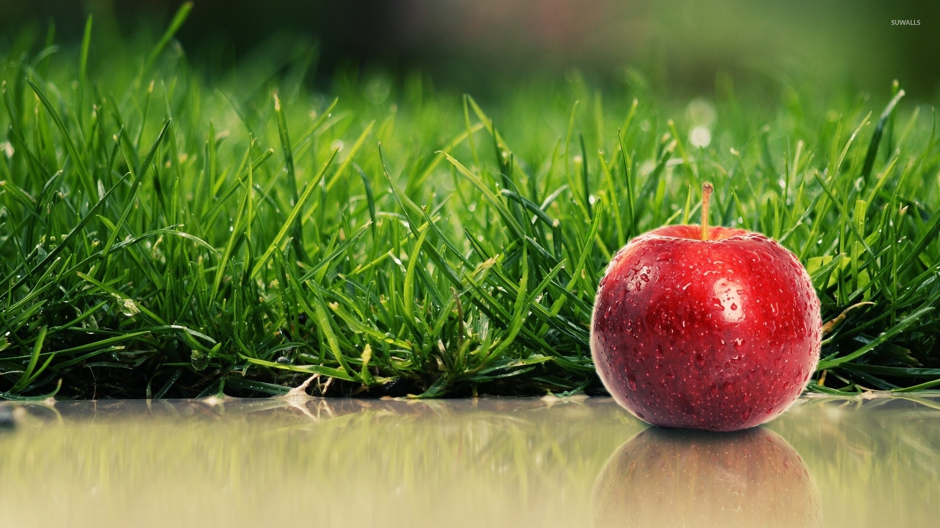 Red Apple With Water Drops By The Green Grass Wallpaper