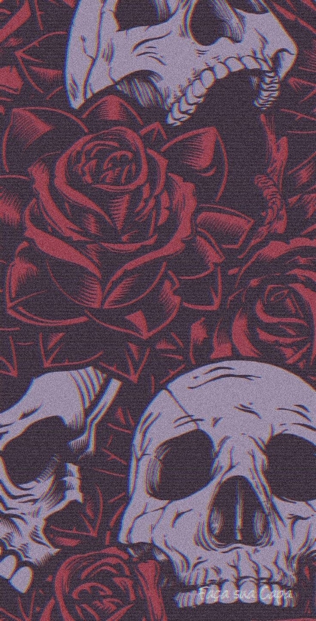 Wallpaper Skulls Roses Discovered By Onon