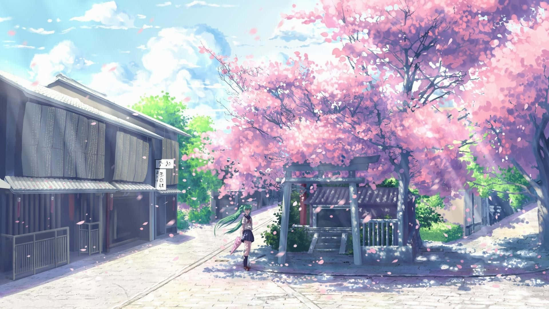 Cherry Blossoms Anime Scenery Wallpaper