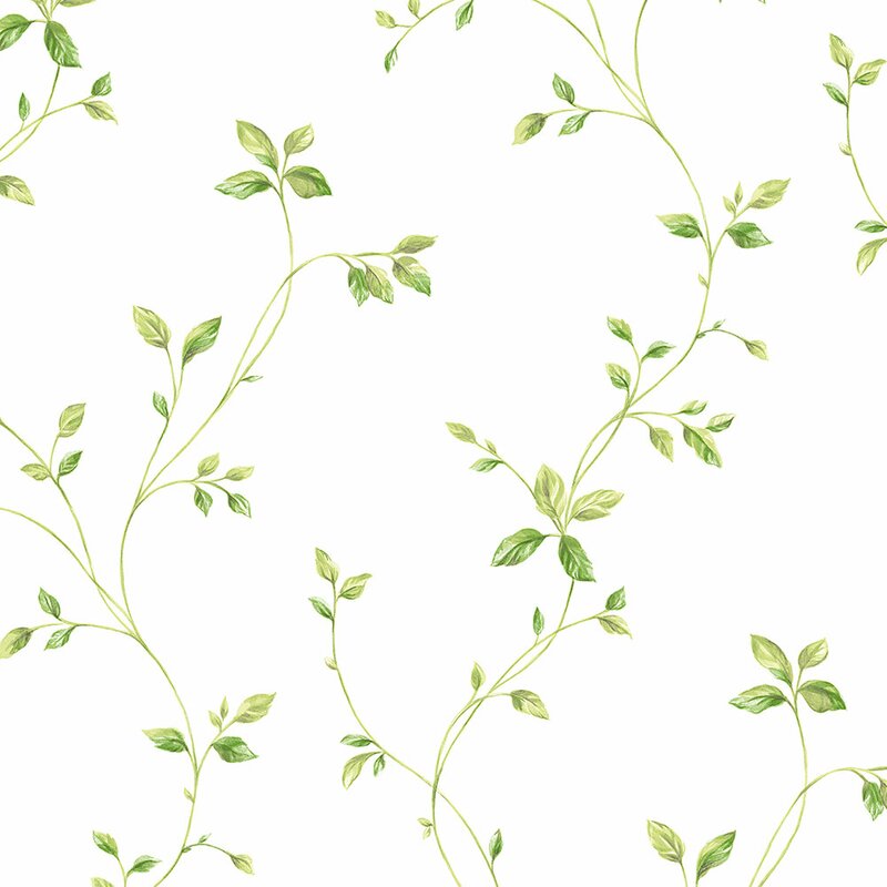 Ophelia Co Grote X Floral Vine Roll Wallpaper Wayfair