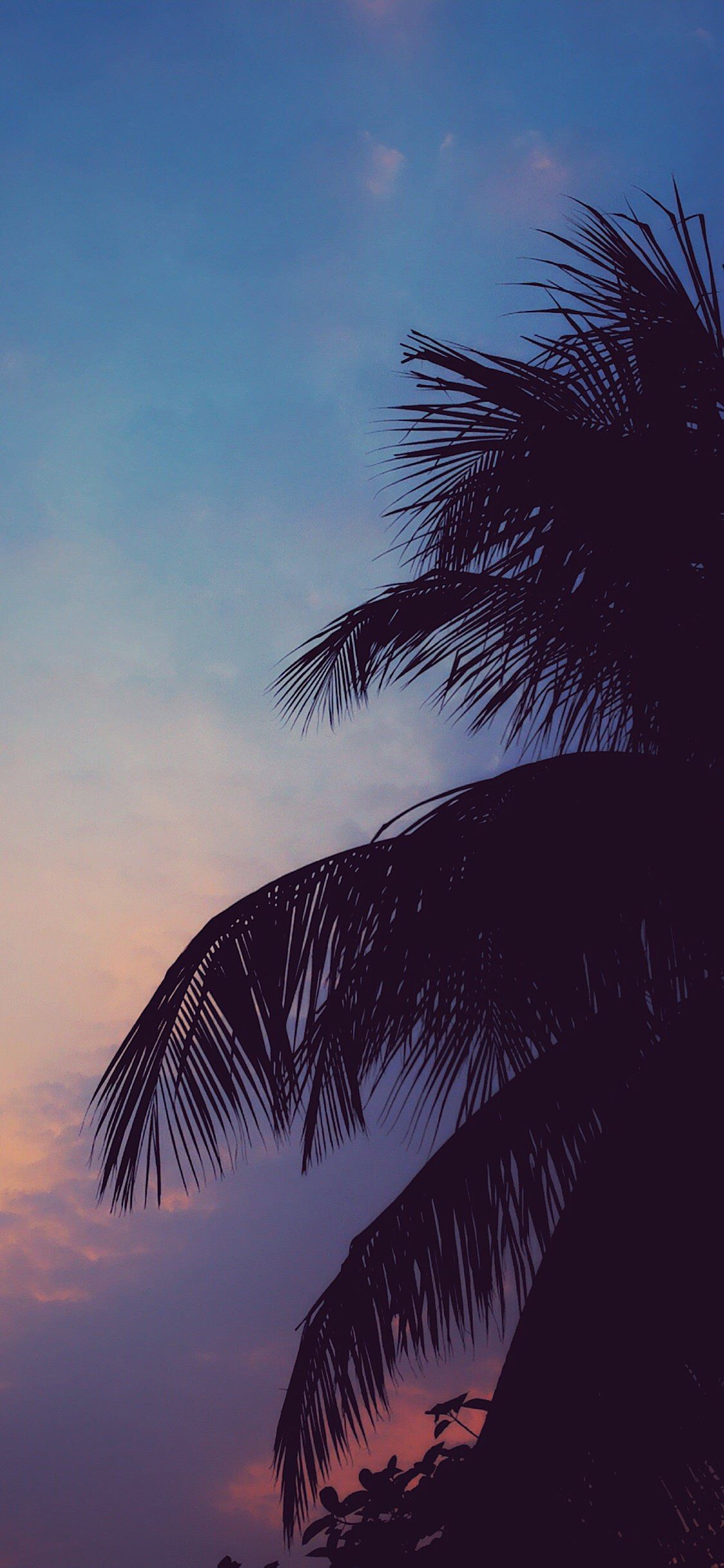 Cool Vibes Wallpaper