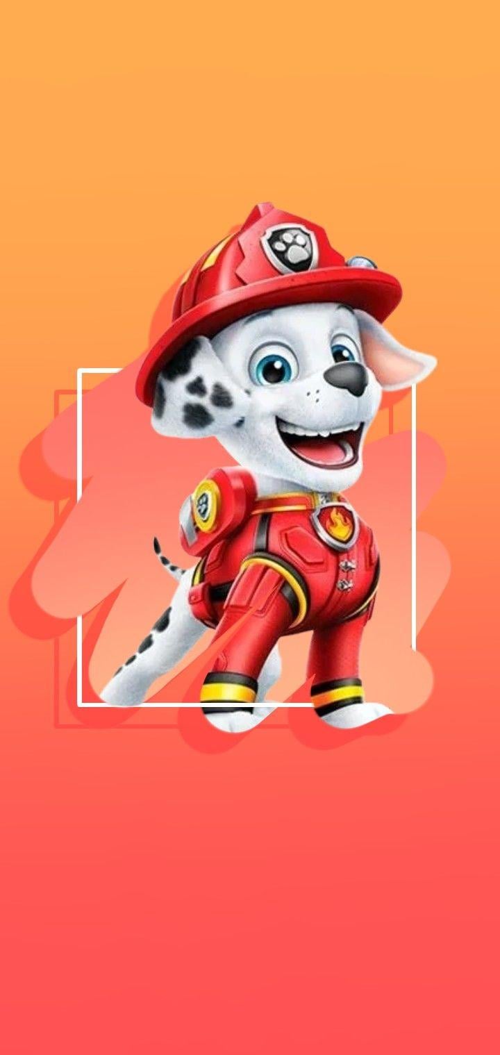 Paw Patrol Marshall Wallpaper