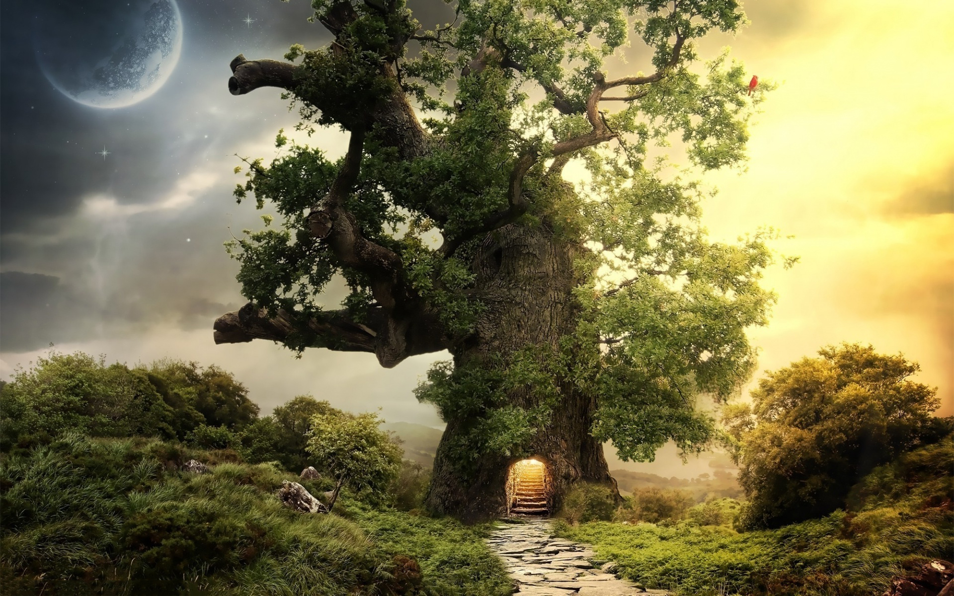 Fantasy Tree Pictures
