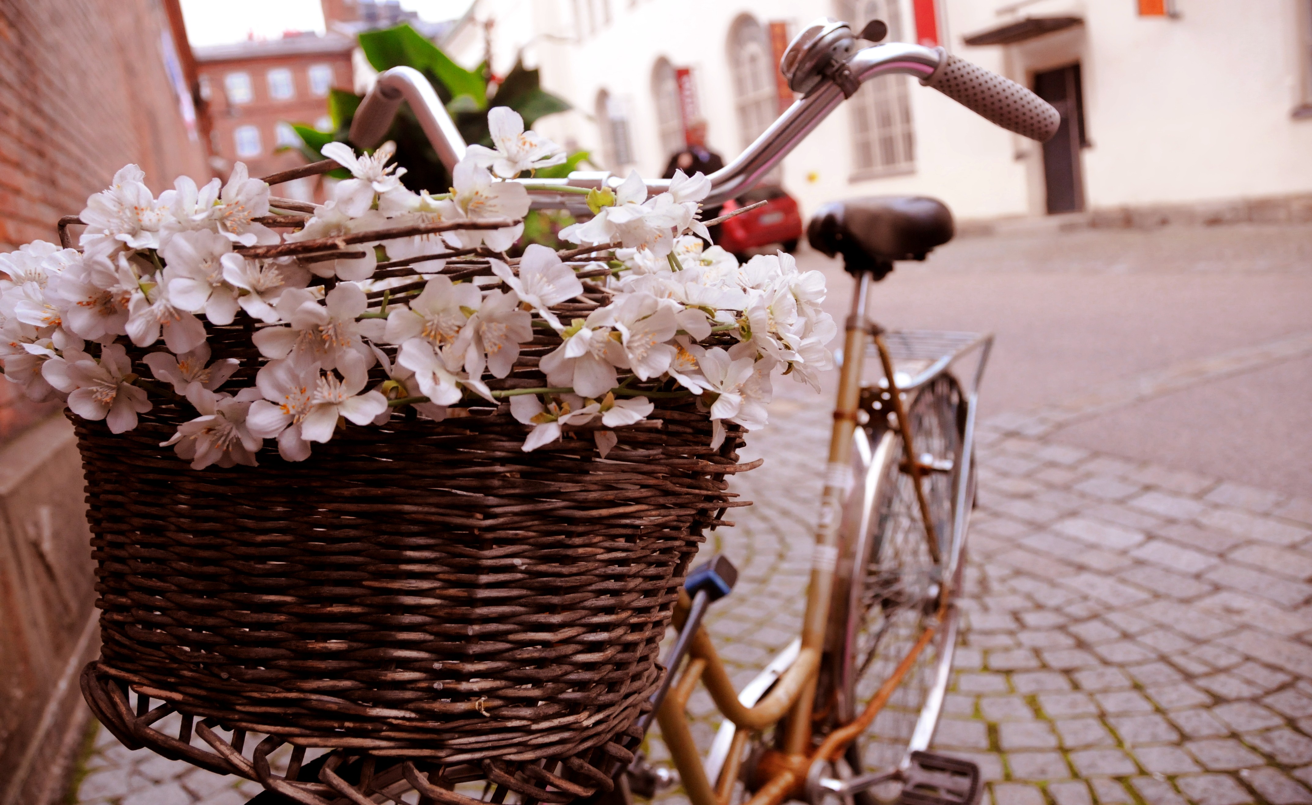 Flowers Bicycles Italian Romantic European Morning French