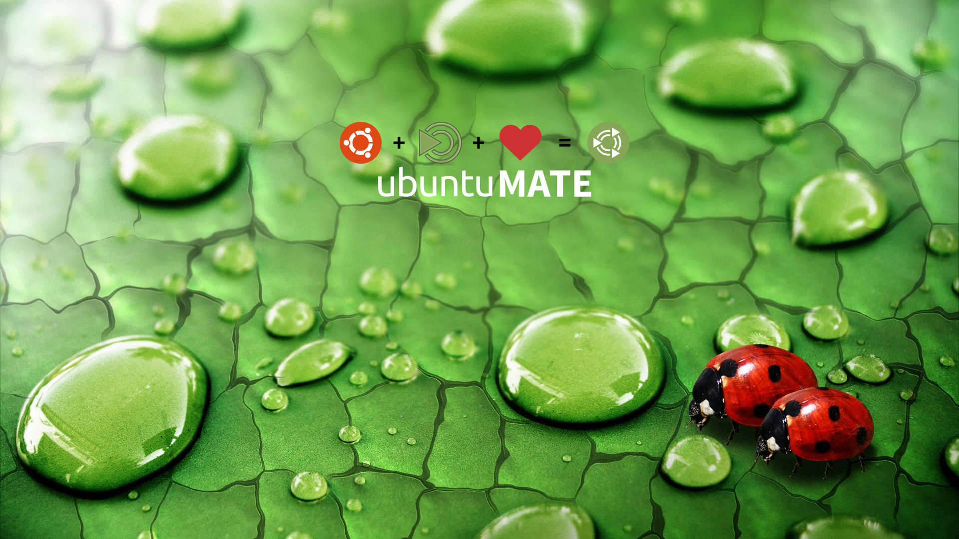 Some Ubuntumate Wallpaper Artwork Ubuntu Mate Munity