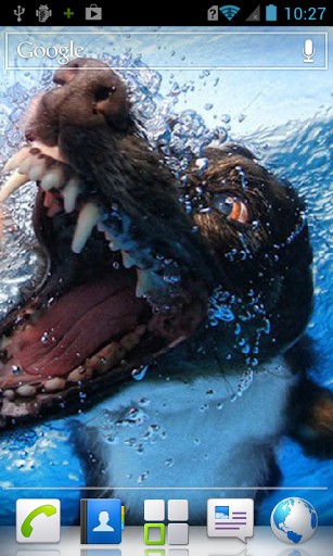 Bigger Dog Underwater Live Wallpaper For Android Screenshot