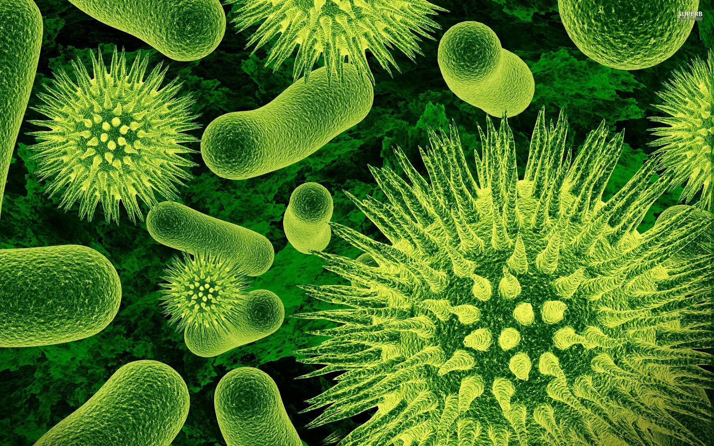 Bacteria Wallpaper