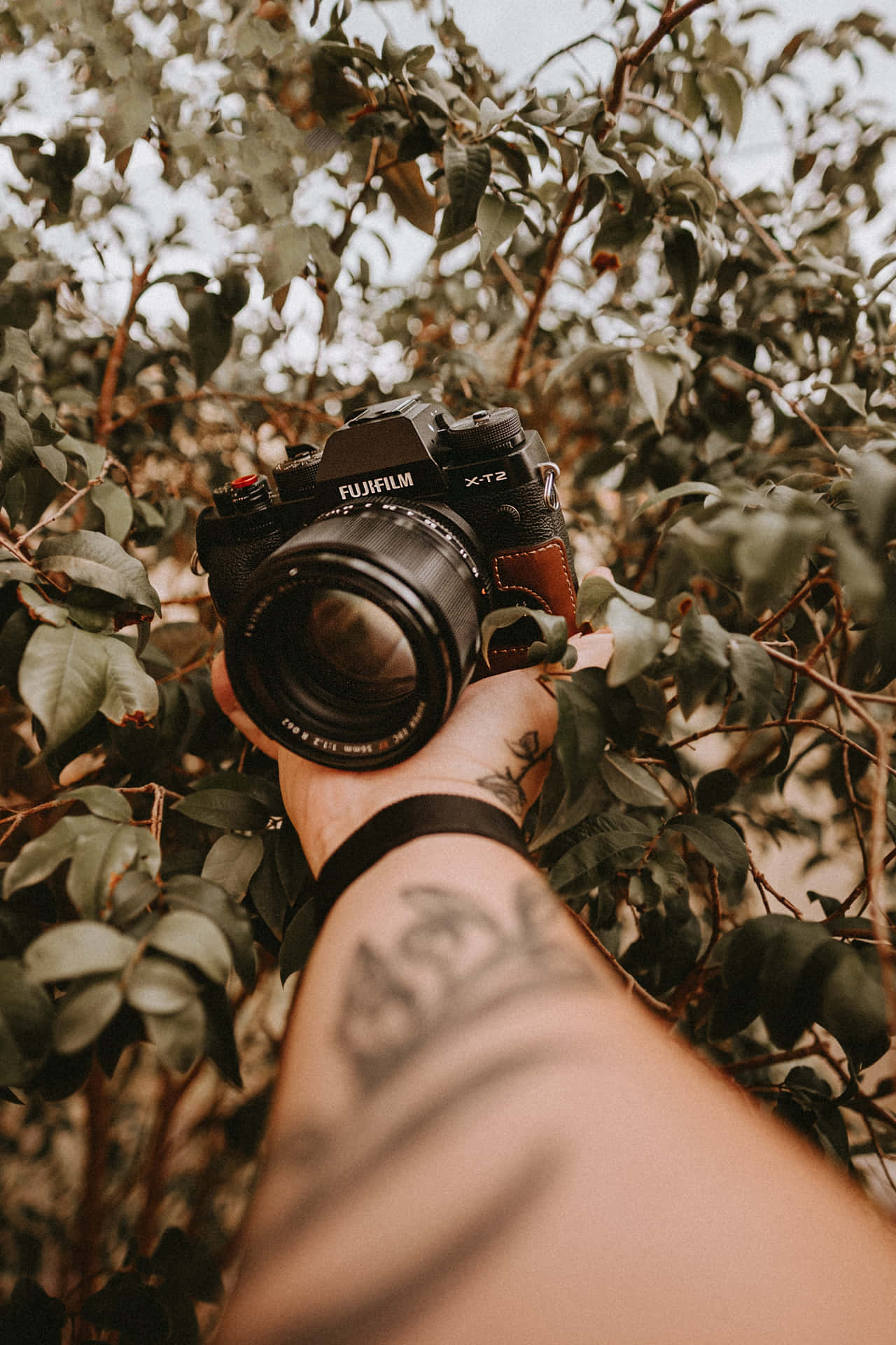 Hand Tattoo Wallpaper