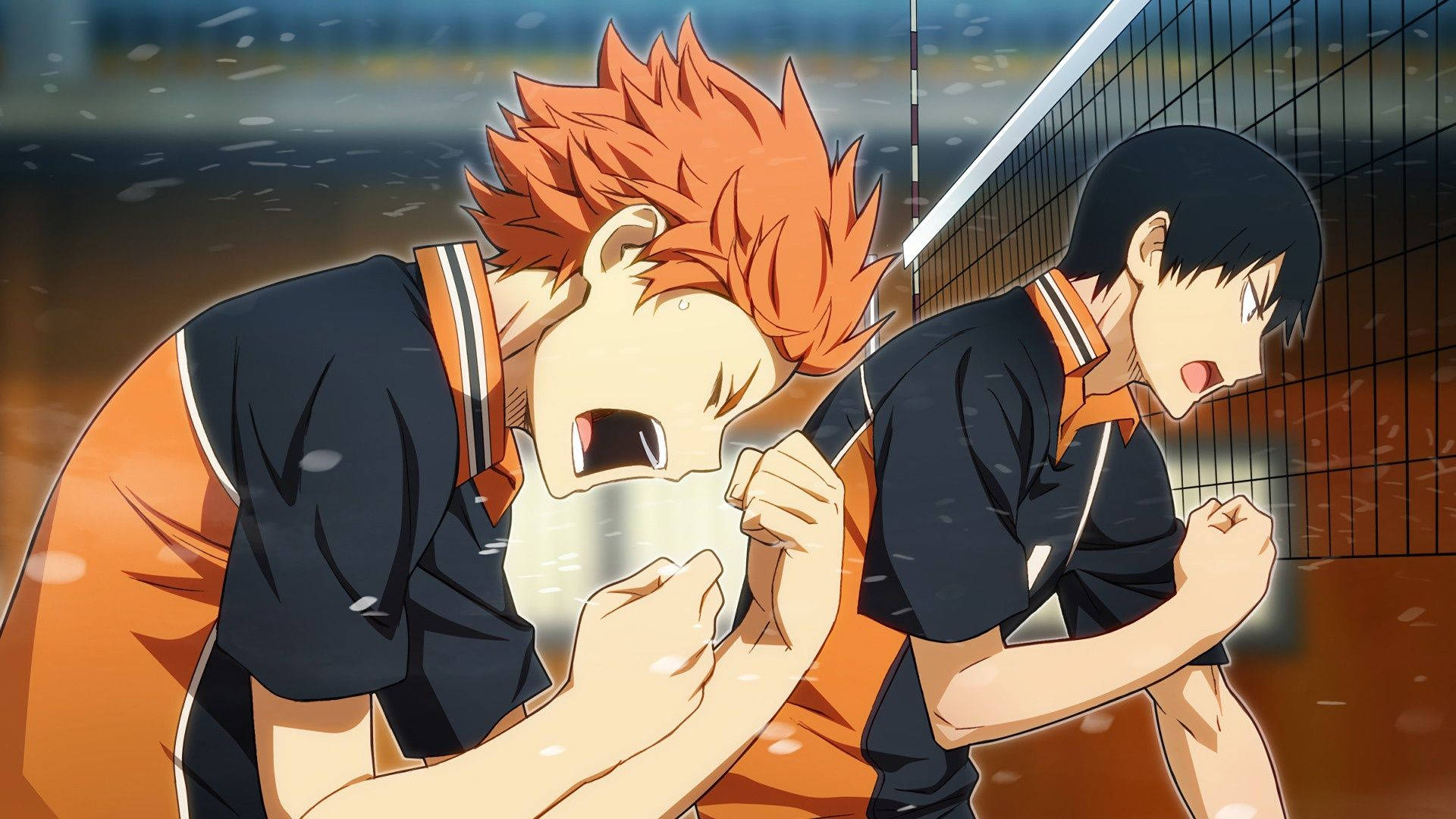 Top Haikyuu Wallpaper Full HD 4k To Use