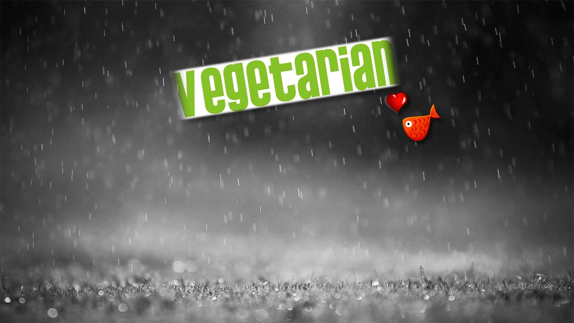 Vegetarian wallpaper   771744
