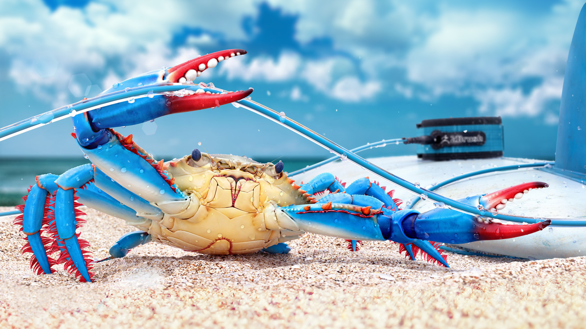 Blue Crab HD Wallpaper
